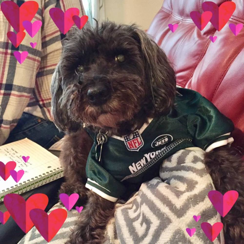 Meet your Posher, Sue